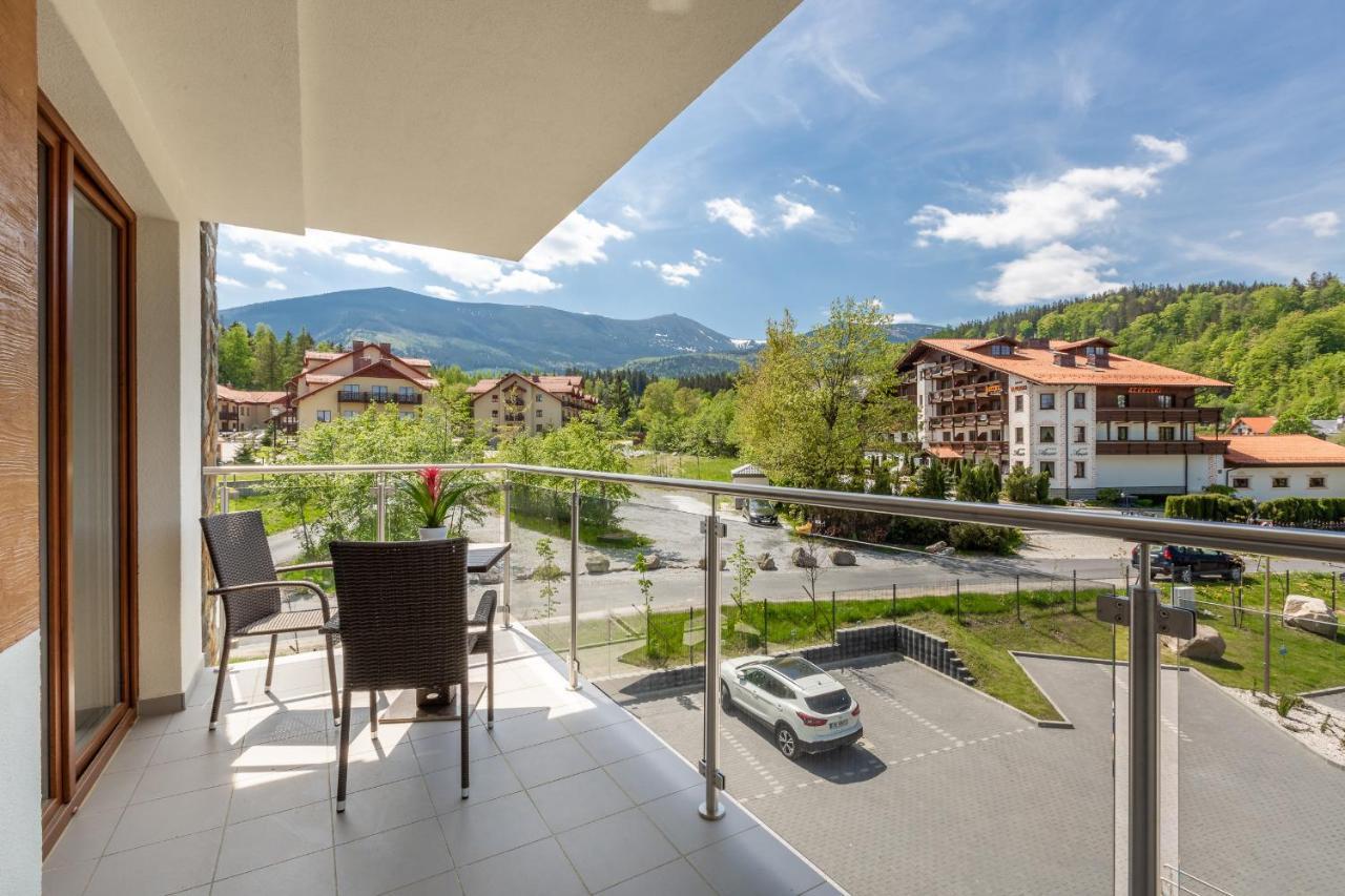 Sniezka View Apartment