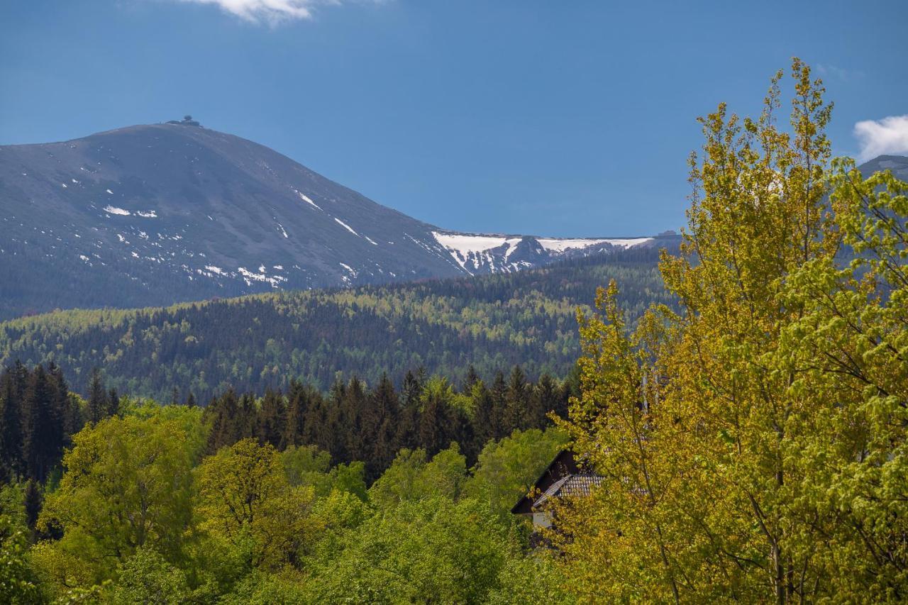 Apartmán Sniezka View