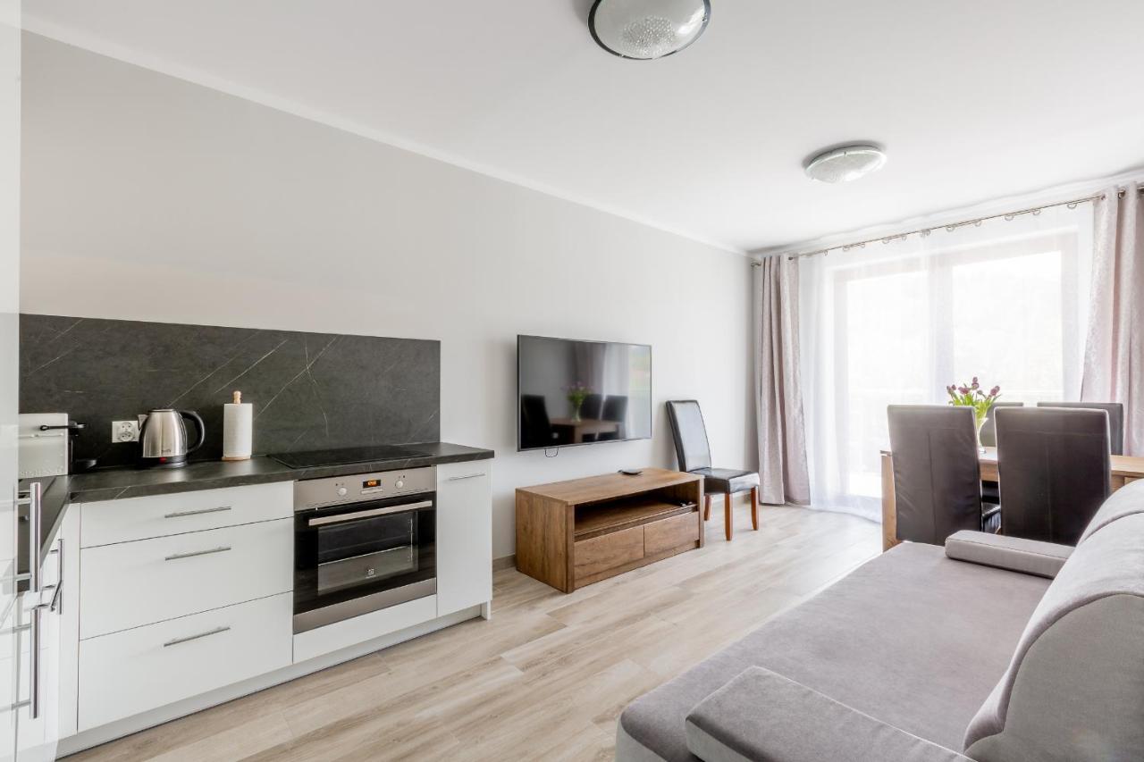 Sniezka View Apartment