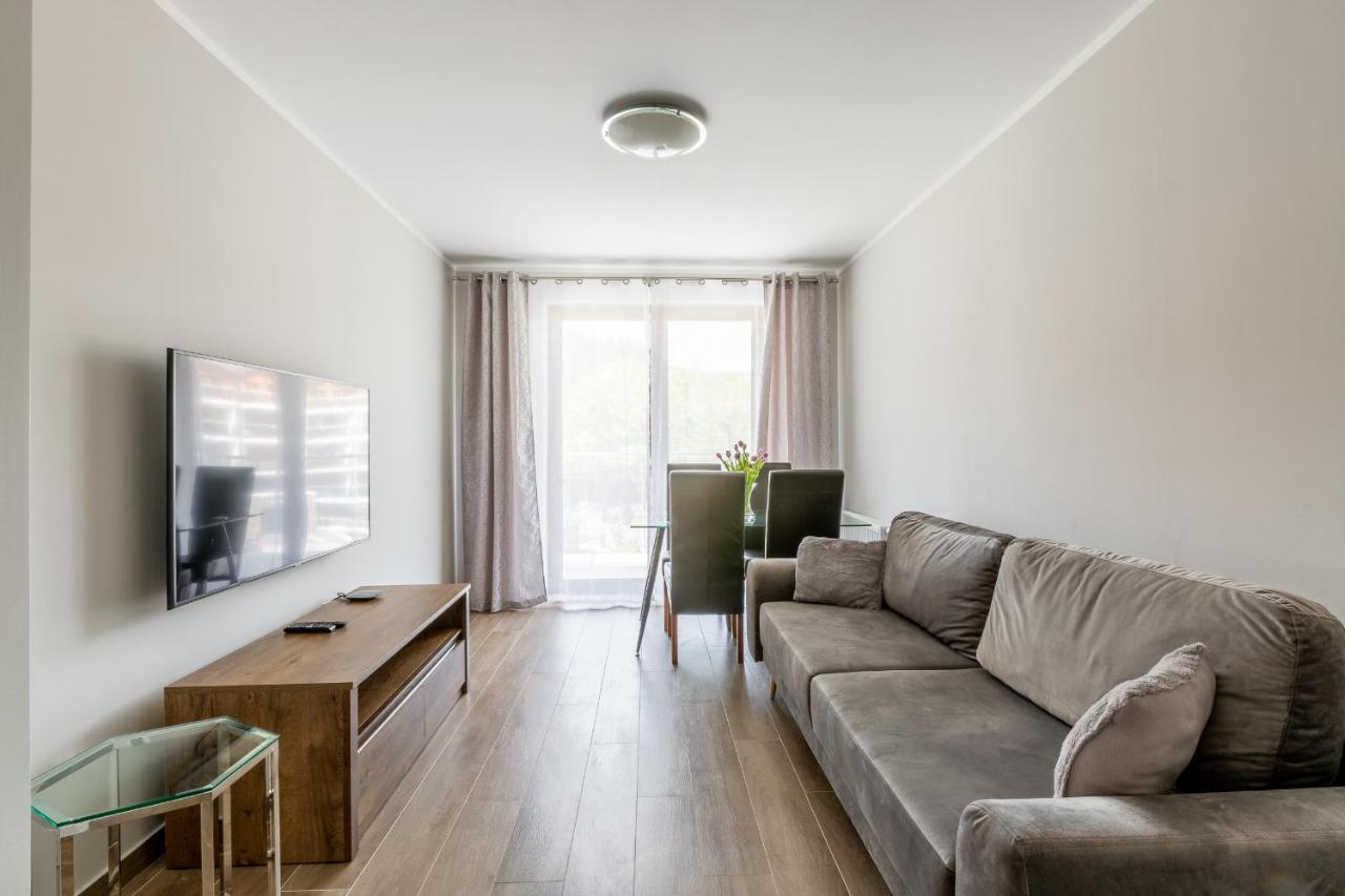 Sniezka View Apartment